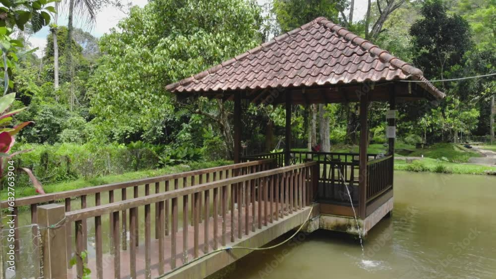 Astonishing aerial view of wooden pathway on lake in tropical valley - moving backwards Astonishing aerial view of wooden pathway on lake in tropical valley - moving backwards