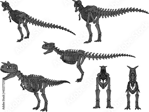 Sketch vector illustration of the skeletal structure of a prehistoric t-rex dinosaur fossil