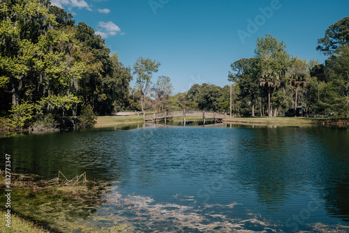 Фотография Lake in Sea Pines Forest Preserve in HIlton Head Island, South Carolina
