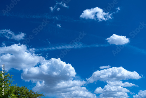 夏の空