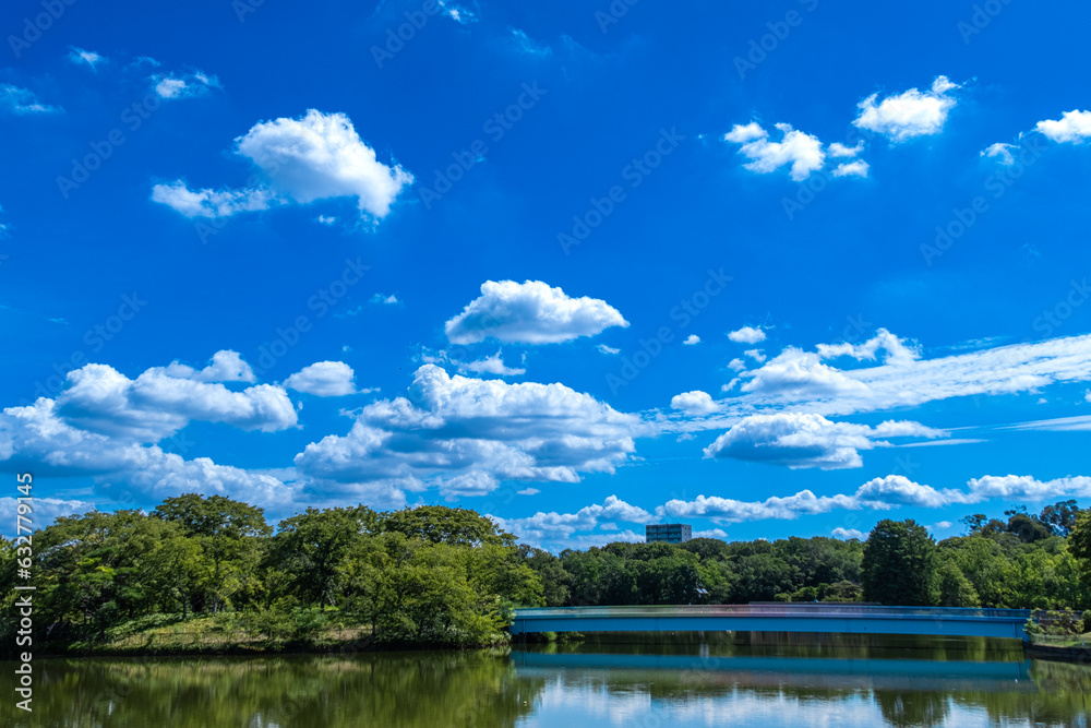 Fototapeta premium 夏の空
