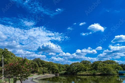 夏の空