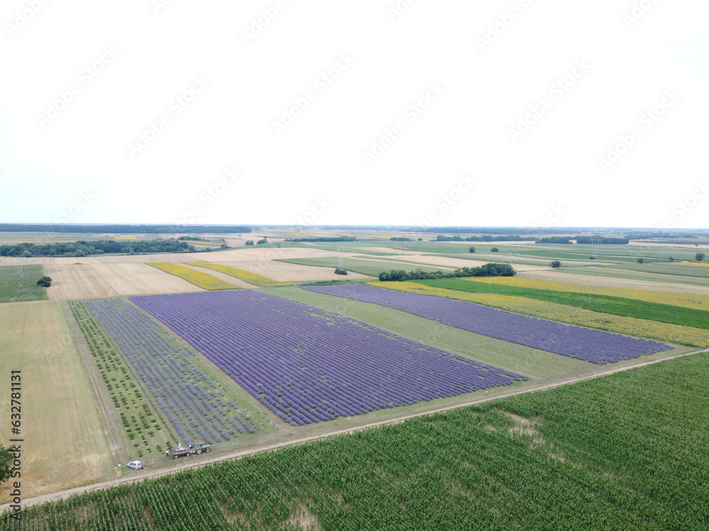 Obraz premium DCIM\100MEDIA\DJI_0741.JPG