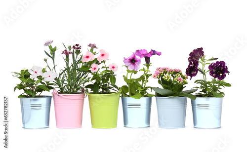 Beautiful flowers in different pots isolated on white © New Africa