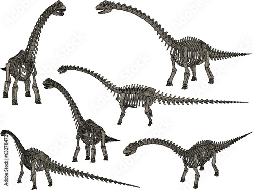 Vector sketch illustration of the skeletal structure of a prehistoric brontosaurus dinosaur fossil