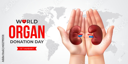World organ donation day with kidneys for transplantation, saving lives, artwork, print, doodle, vector illustration (Vector)