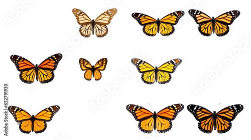 In a collection of butterflies on a transparent PNG background.