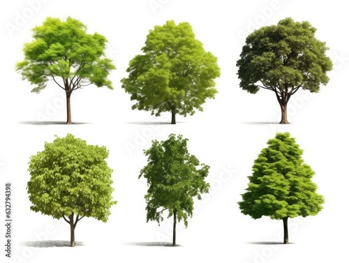 set of trees isolated on white Trees green leaves. Isolated on white background