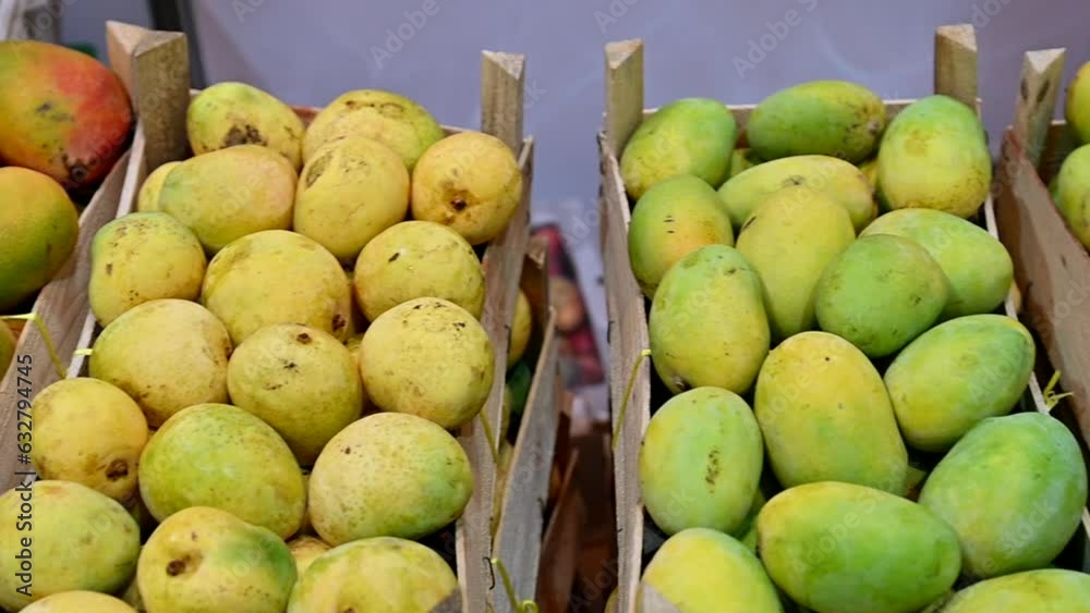 Varieties of Fresh Emirati Mangos are displayed during the food Festival in the United Arab Emirates. Varieties of Fresh Emirati Mangos are displayed during the food Festival in the United Arab Emirates.