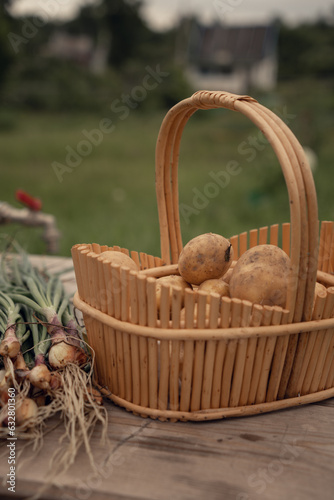 New potatoes in a basket and green onions.