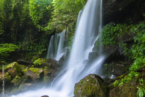 waterfall in the forest