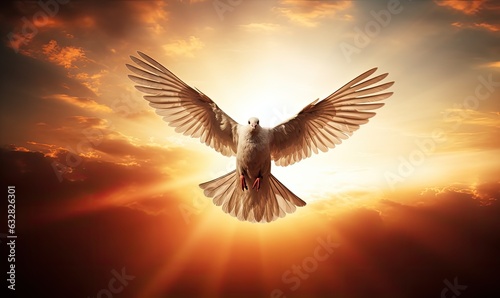 Photo of a majestic white bird soaring through a golden sky