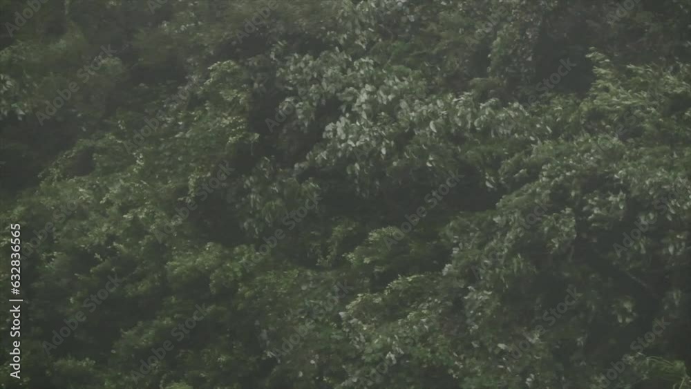 台風襲来時の奄美の天気の色と風と雨。 台風襲来時の奄美の天気の色と風と雨。