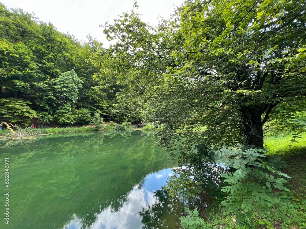 Artificial lakes in a Park forest Jankovac - Papuk nature park, Croatia (Umjetna jezera u Park šumi Jankovac - Park prirode Papuk, Hrvatska) Artificial lakes in a Park forest Jankovac - Papuk nature park, Croatia (Umjetna jezera u Park šumi Jankovac - Park prirode Papuk, Hrvatska)