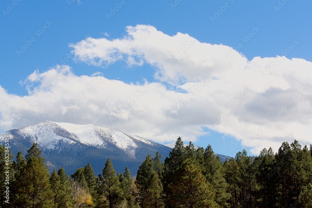 Mt. Humphreys in the winter with snow on top and a pine forest in the background, Flagstaff, Arizona.