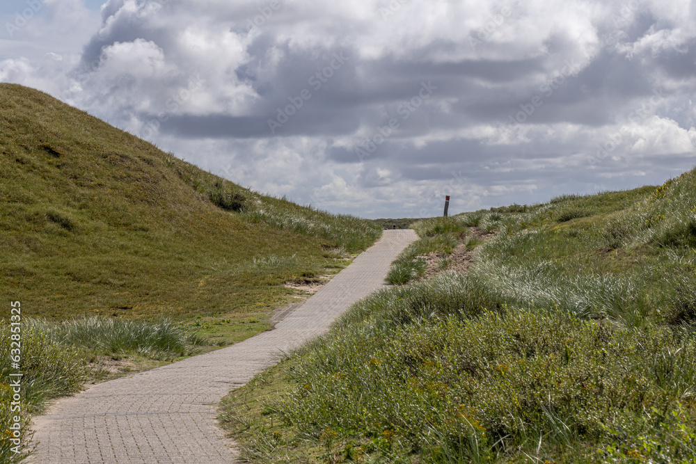 Weg in den Dünen von Norderney Weg in den Dünen von Norderney