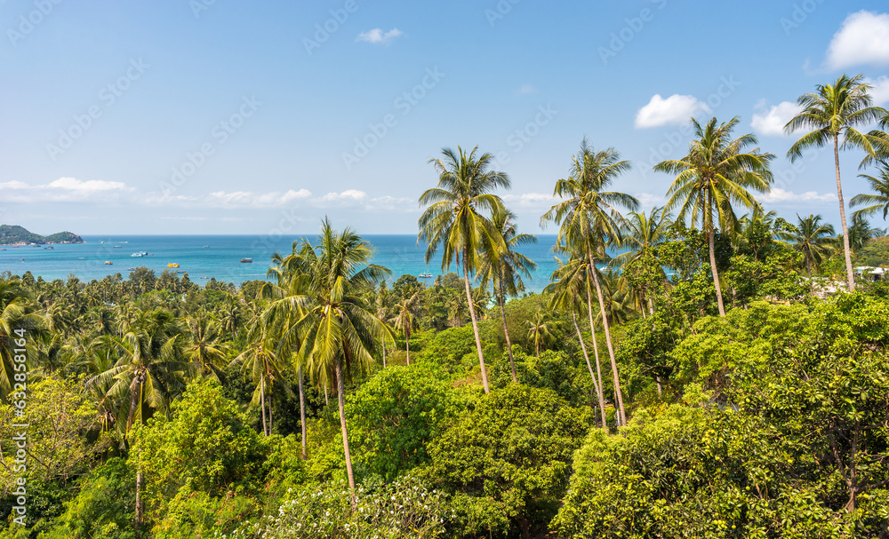 Tropical coconut palms and view on sea on tropical Koh Tao island in Thailand. Scenic travel destination and beautiful exotic asian nature and place for relax and recreation