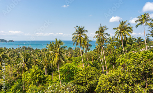 Tropical coconut palms and view on sea on tropical Koh Tao island in Thailand. Scenic travel destination and beautiful exotic asian nature and place for relax and recreation