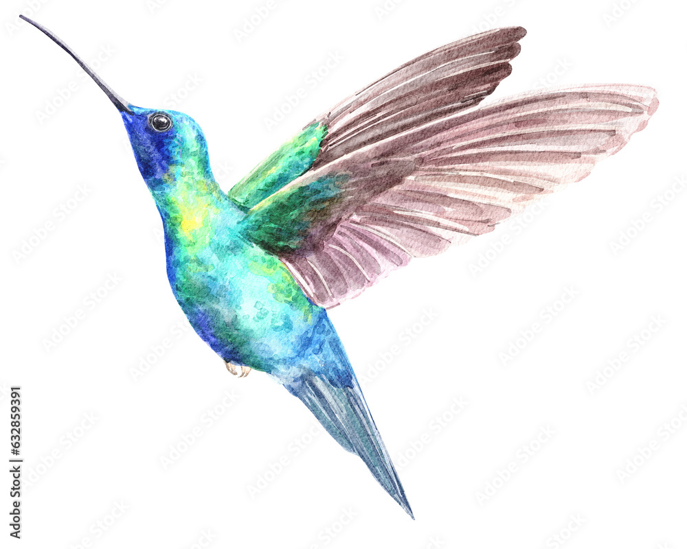 Obraz premium Hummingbird in flight realistic animal illumination.