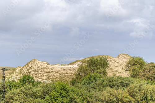 Dünenlandschaft auf Norderney