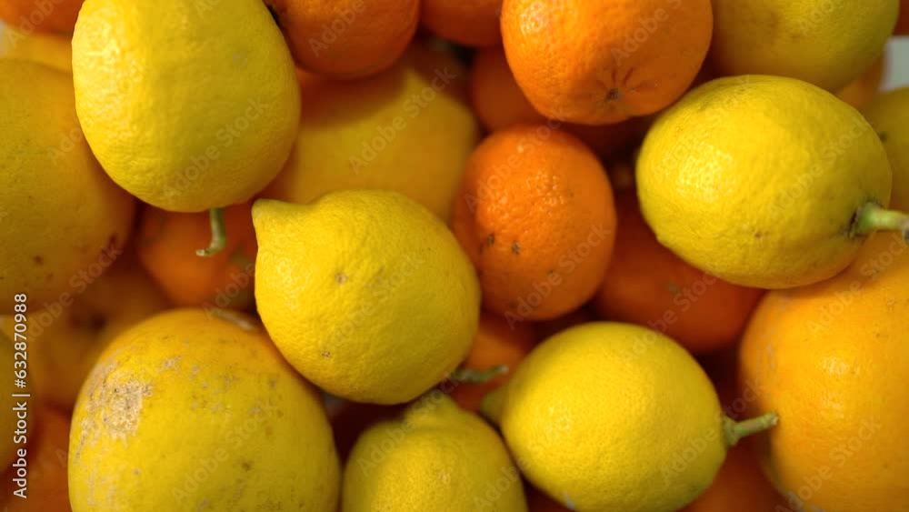 Freshly Picked Grapefruits, Lemons and Oranges. - zoom in Freshly Picked Grapefruits, Lemons and Oranges. - zoom in