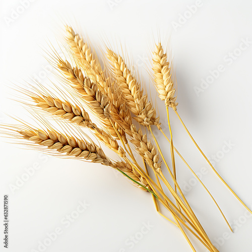 Ear of barley on white background. Made with generative ai