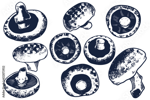 Hand drawn set of Portobell...
