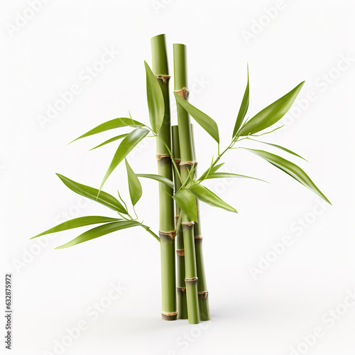 Image of green bamboo tree on white background. Nature. Illustration  Generative AI.