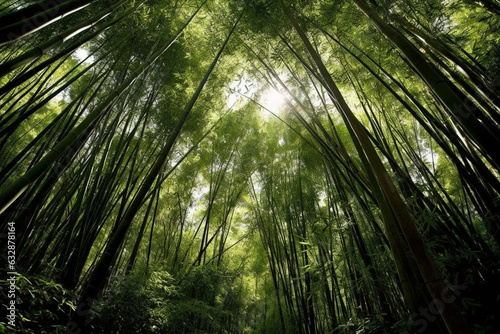 Towering bamboo leaves forming a dense green canopy, Leaves Watercolor, 