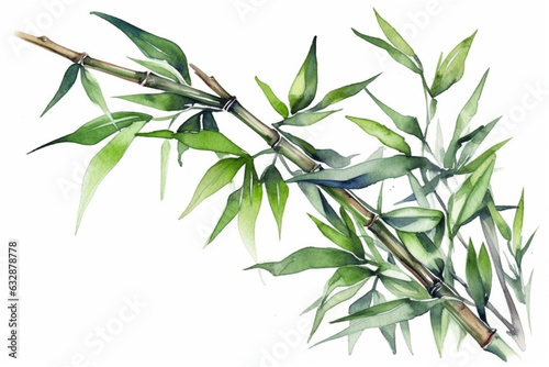 Elegant watercolor green bamboo stalks on a white background, Leaves Watercolor, 