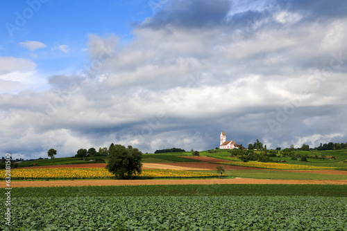 Church St. Moritz with fields of crops diversity in a cloudy and sunny day in Hallau, Klettgau, Schaffhausen, Switezrland. Klettgau is a well-known wine production area. photo