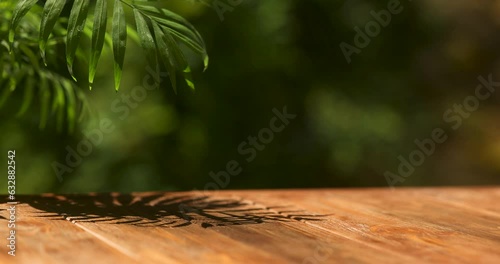 Mockup wooden table outside in summer, palm, splash water.  photo