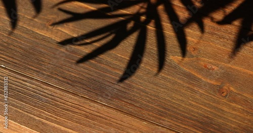 Shadow of a palm tree on a wooden brown background