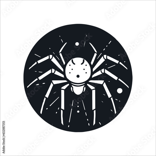 halloween spider illustration 