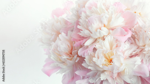 Beautiful fluffy pink peonies flowers background