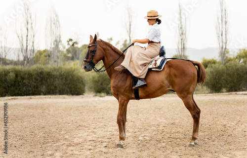 General profile shot photo of a girl in elegant clothes on a brown horse outside the stable. The animal is of the Algo-Arabian breed. Concept of cute women riding horses.