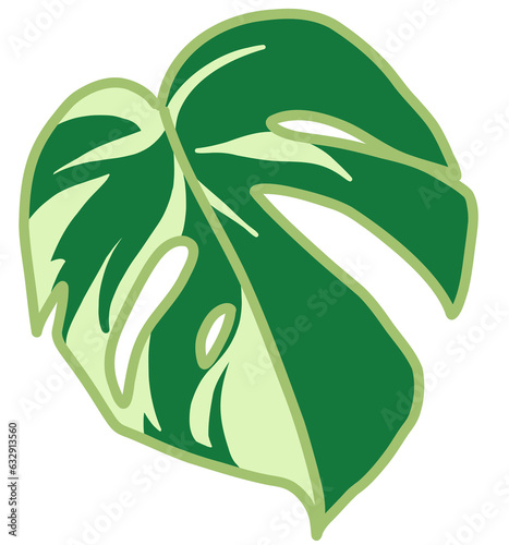 variegated monstera leaf flat design, green botanical element, rounded heartleaf