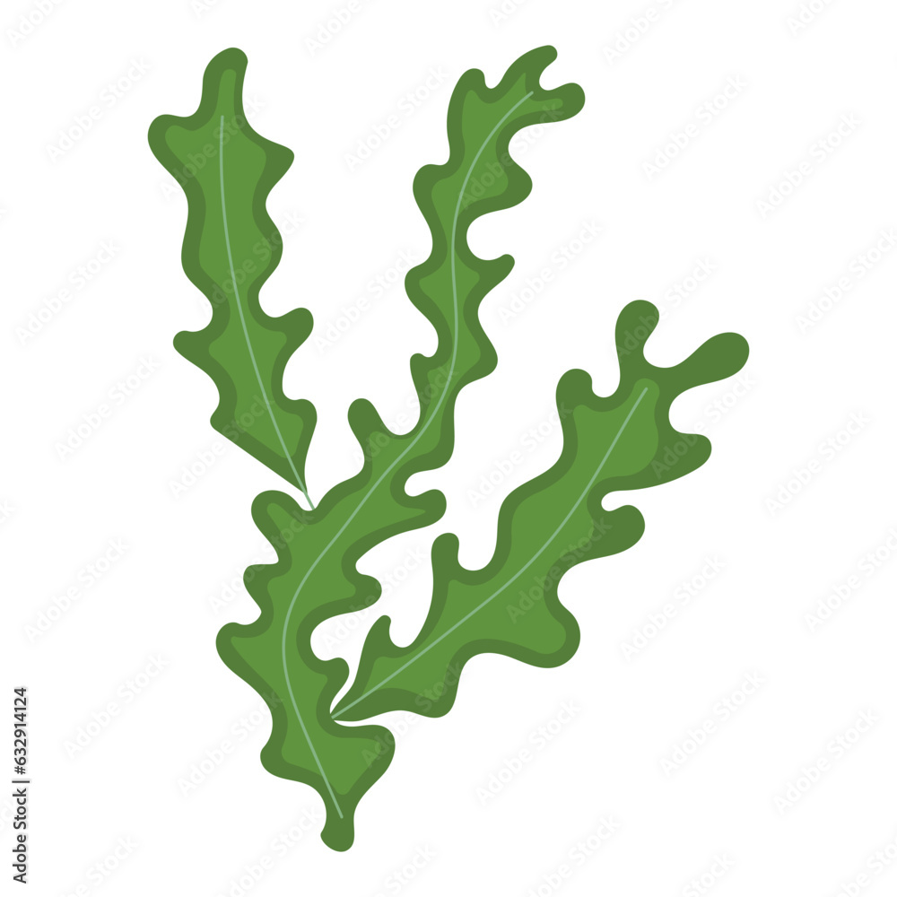 Vector cartoon image of underwater algae. The concept of aquarium decor. Plants on the ocean floor. Vector cartoon image of underwater algae. The concept of aquarium decor. Plants on the ocean floor.
