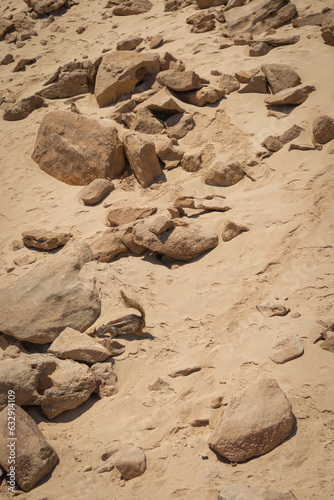 Desert landscape with sand and rocks of a beach on Fuerteventura island. Fuerteventura, Canary Islands, Spain