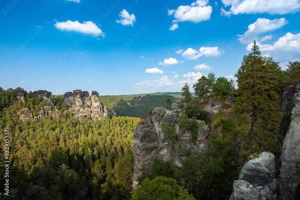 Elbsandsteingebirge in saxonia with tree in foreground