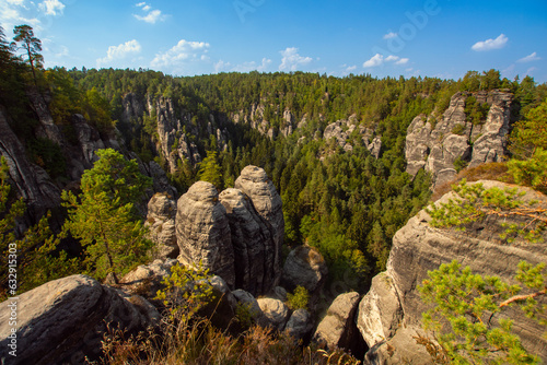 Wallpaper Mural Elbsandsteingebirge in saxonia with tree in foreground Torontodigital.ca