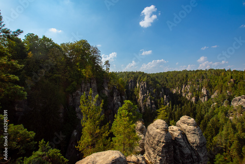 Wallpaper Mural Elbsandsteingebirge in saxonia with tree in foreground Torontodigital.ca