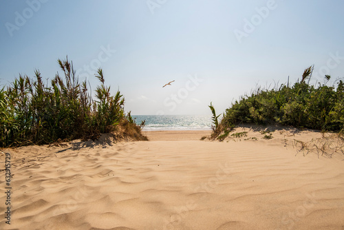 Beautiful view of a sand way to playa de Ballena in Chipiona Ballena, Cadiz,  Spain, Europe photo