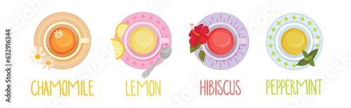 Different Herbal Tea Brewing in Cup Above View Vector Set