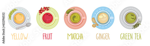 Different Herbal Tea Brewing in Cup Above View Vector Set