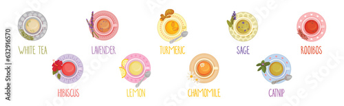 Different Herbal Tea Brewing in Cup Above View Vector Set