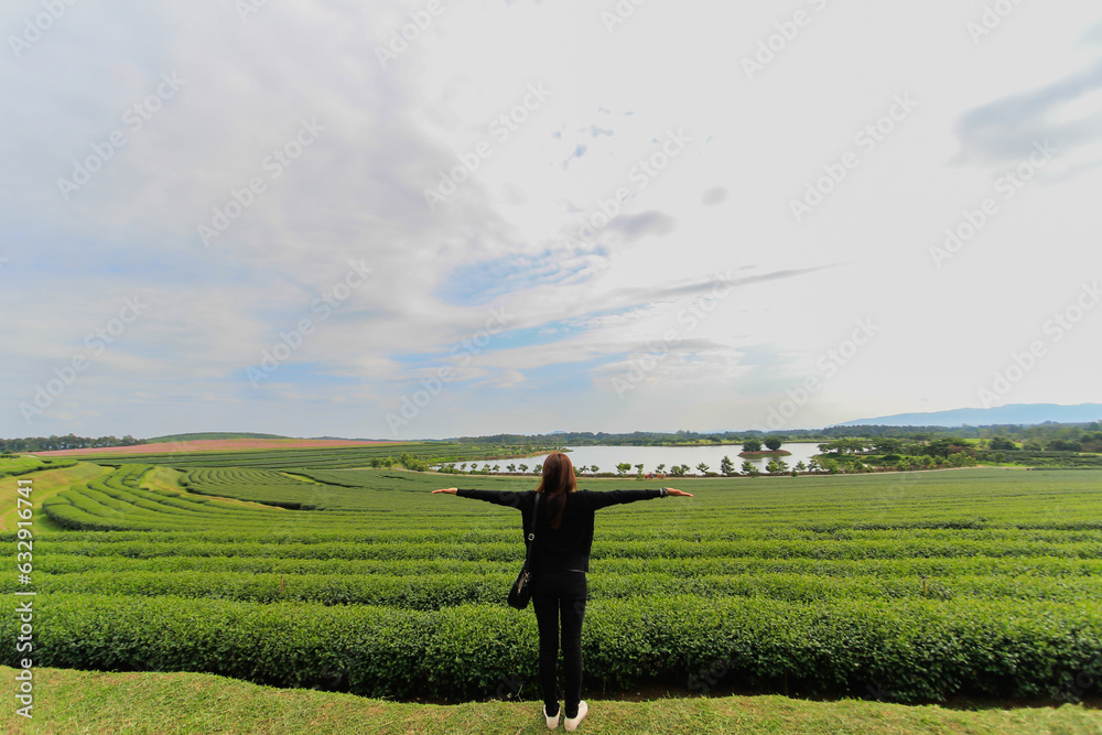 A young woman stands with her arms outstretched on a balcony above a beautiful tea plantation to symbolize her happiness in traveling and relaxing during the holidays. holiday happiness concept A young woman stands with her arms outstretched on a balcony above a beautiful tea plantation to symbolize her happiness in traveling and relaxing during the holidays. holiday happiness concept