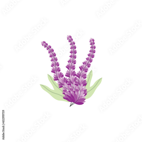 Lavender Logo  Purple Plant Vector  Garden Design  Illustration Symbol Template