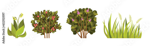 Green Bush with Leafy Stem as Outdoor Growth Vector Set
