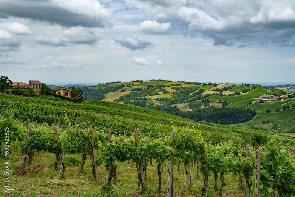 Hills of Oltrepo Pavese at June. Vineyards